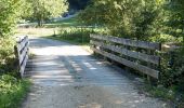 Tocht Te voet Anwil - Talweiher - Wenslingen - Photo 1