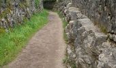 Trail Walking Montmeyan - les basses gorges de quinson - Photo 19