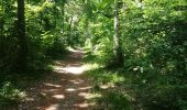 Excursión Senderismo Fontainebleau - De la mare aux fées à Bourron-Marlotte - Photo 3