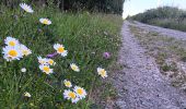 Trail Walking Spa - berinzenne fleurie - Photo 13
