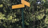 Trail Walking Sainte-Foy-Tarentaise - Haut de villaroger en partant de la thuile  - Photo 3