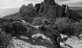 Excursión Senderismo Saint-Raphaël - Pk Col de Belle Barbe - Ravin Mal Infernet - Pic du Cap Roux - Grotte Saint Honorat - Ravin des Lentisques - Photo 6