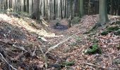 Trail On foot Aachen - Waldrundweg Rot 1 - Photo 5