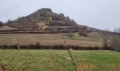 Tour Wandern Pignols - La Chaux Montgros Pic Mecurol_T - Photo 15