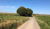 Randonnée Vélo de route Heers - Monumentenroute Heers (PVDB) - Photo 11