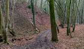 Trail Nordic walking Colfontaine - Balade du terril du grand bouillon d'en bas  - Photo 6