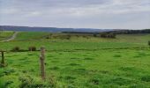 Tour Wandern Tenneville - Boucle agricole - Le circuit de la ferme des Frênes  - Photo 17