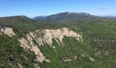 Trail Walking Mazaugues - Barres de Mazaugues  - Photo 1