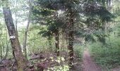Tour Wandern Sentheim - Sentheim Grambaechle - Photo 1