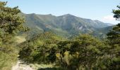 Tour Wandern Eygluy-Escoulin - Le Taillefer - Escoulin-18969835 - Photo 18