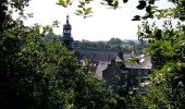 Tour Wandern Hénon - Dans le bois des pins. - Photo 3