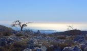 Trail On foot Saint-Vallier-de-Thiey - La Colle du Maçon  - Photo 8