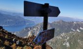 Tour Zu Fuß Mandello del Lario - Sentiero 13b: Rongio - Rifugio Rosalba per lo Zucco Pertusio - Photo 10