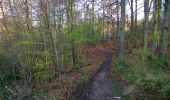 Trail Walking Vieux-Moulin - en forêt de Compiègne_26_la Grotte des Ramoneurs_Tournantes de la Queue de Saint-Etienne et sur la Côte de Roilaye - Photo 9