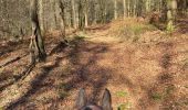 Trail Horseback riding Habay - Marbehan par le Trou du Bois - Photo 3