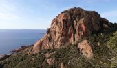 Trail Walking Saint-Raphaël - du cap Roux  au pic du cap  Roux - Photo 1