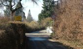 Tour Zu Fuß Wasserburg (Bodensee) - Nordic-Walking Bayerischer Bodensee Bodolz R13 : Enzisweiler Runde - Photo 6