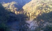 Tour Wandern Aston - Le chemin de Jojo - Photo 7