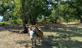 Randonnée Marche Bouray-sur-Juine - Boucle autour de Larry - Photo 4