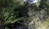 Trail Walking Roquebrune-sur-Argens - les hauts de Roquebrune sur Argens - Photo 6