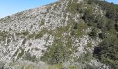 Trail Walking Moustiers-Sainte-Marie - la bergerie de marignol.  - Photo 4