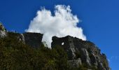 Tour Wandern Andon - Andon - Pk Pont du Loup - Le Castellaras - Château des 4 Tours - Photo 9