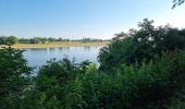 Trail Walking Amboise - Amboise - À la découverte des trésors cachés - Photo 4