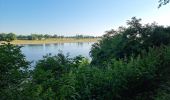 Tocht Stappen Amboise - Amboise - Photo 4