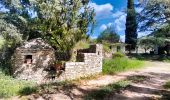 Trail Walking Châteauvert - SityTrail - Valon Sourm- Vallon des Baumes - Photo 12