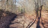 Trail Walking Griscourt - circuit des moulins - Photo 5