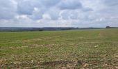 Trail Walking Thuin - Thuin 130325 - Photo 1