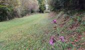 Randonnée Marche Caussou - le col des canons - Photo 4