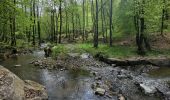 Tour Wandern Libin - rando redu  11-05-2023 - Photo 12