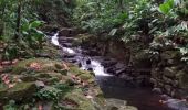 Tour Wandern Sainte-Rose - Cascade Naca - Photo 10