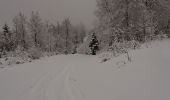Trail Snowshoes Les Premiers-Sapins - rando raquettes Nods  - Photo 1