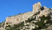 Trail Walking Marseille - Saména - Les Goudes par le massif de Marseilleveyres - Photo 3