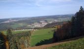 Tour Wandern Montlebon - montlebon - Photo 16