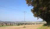 Trail On foot Calden - Habichtswaldsteig - Extratour Breuna - Photo 10