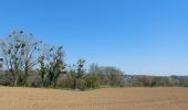 Randonnée Marche Mont-Saint-Guibert - dans les champs et le long de l'orne. - Photo 10