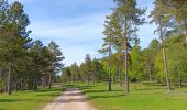 Tour Wandern Aurel - Le Pas de la Frache - Photo 3