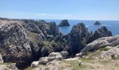 Tocht Stappen Camaret-sur-Mer - Camaret - Photo 10