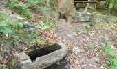 Trail Walking Dambach-la-Ville - Sommets et rochers - Photo 5