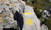 Tour Wandern Saint-Guilhem-le-Désert - St Guilhem - vers la Bissone, retour par le Verdus - Photo 14