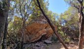 Randonnée A pied Ajaccio - Sentier des Crêtes Ajaccio et Grotte N - Photo 9