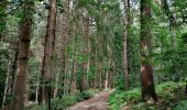 Randonnée Marche Gesves - Sentier d’art à Gesves - Photo 2