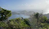 Tocht Stappen Terre-de-Haut - Le Chameau Terre de haut - Photo 1