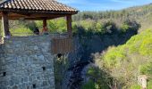 Tour Wandern Fabras - Fabras Jaujac les orgues basaltiques  - Photo 20