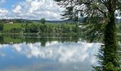 Trail Walking Seekirchen am Wallersee - Le tour du Wallersee - Photo 5