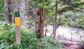 Randonnée Marche Autrans-Méaudre en Vercors - Le Gros Martel par le trou de L'enfer - Photo 7