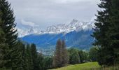 Tocht Stappen Les Houches - J14 - R12 - Les Chavants - Maison Neuve - Photo 9